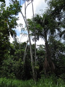 img_1705