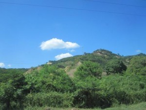 img_2387