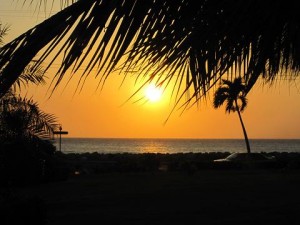 img_2499